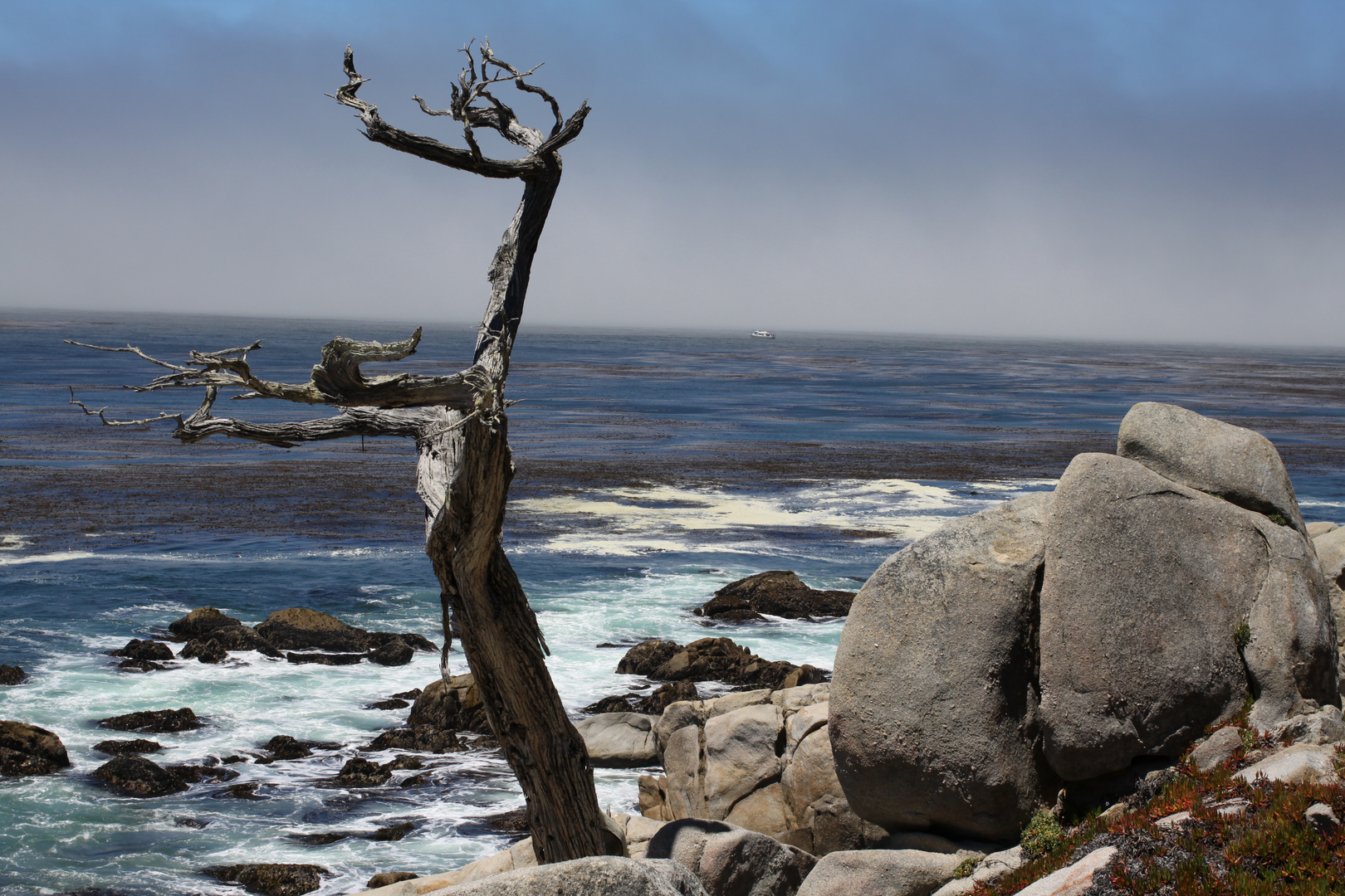 17 mile drive