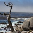 17 mile drive