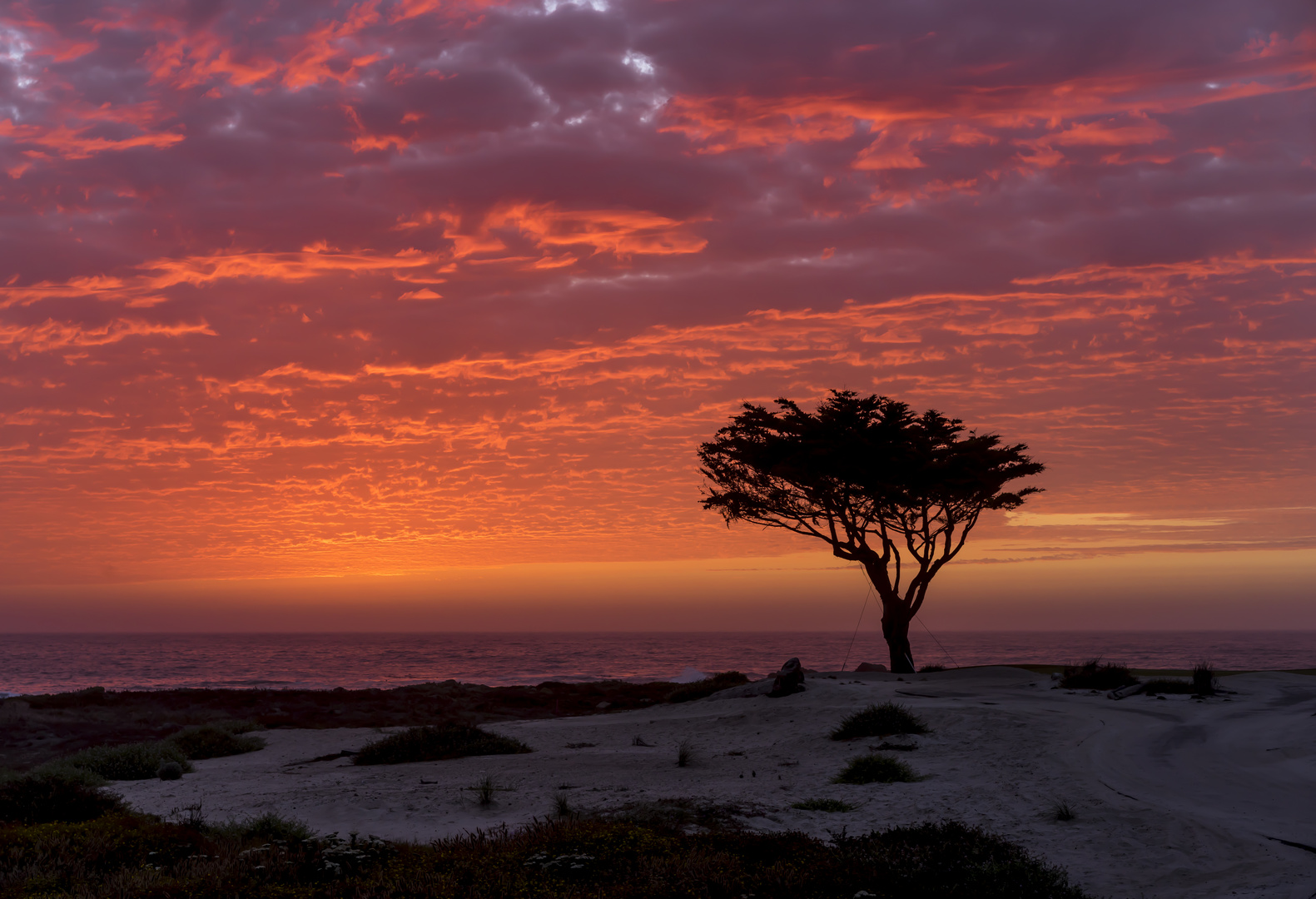 17-Mile Drive, Kalifornien