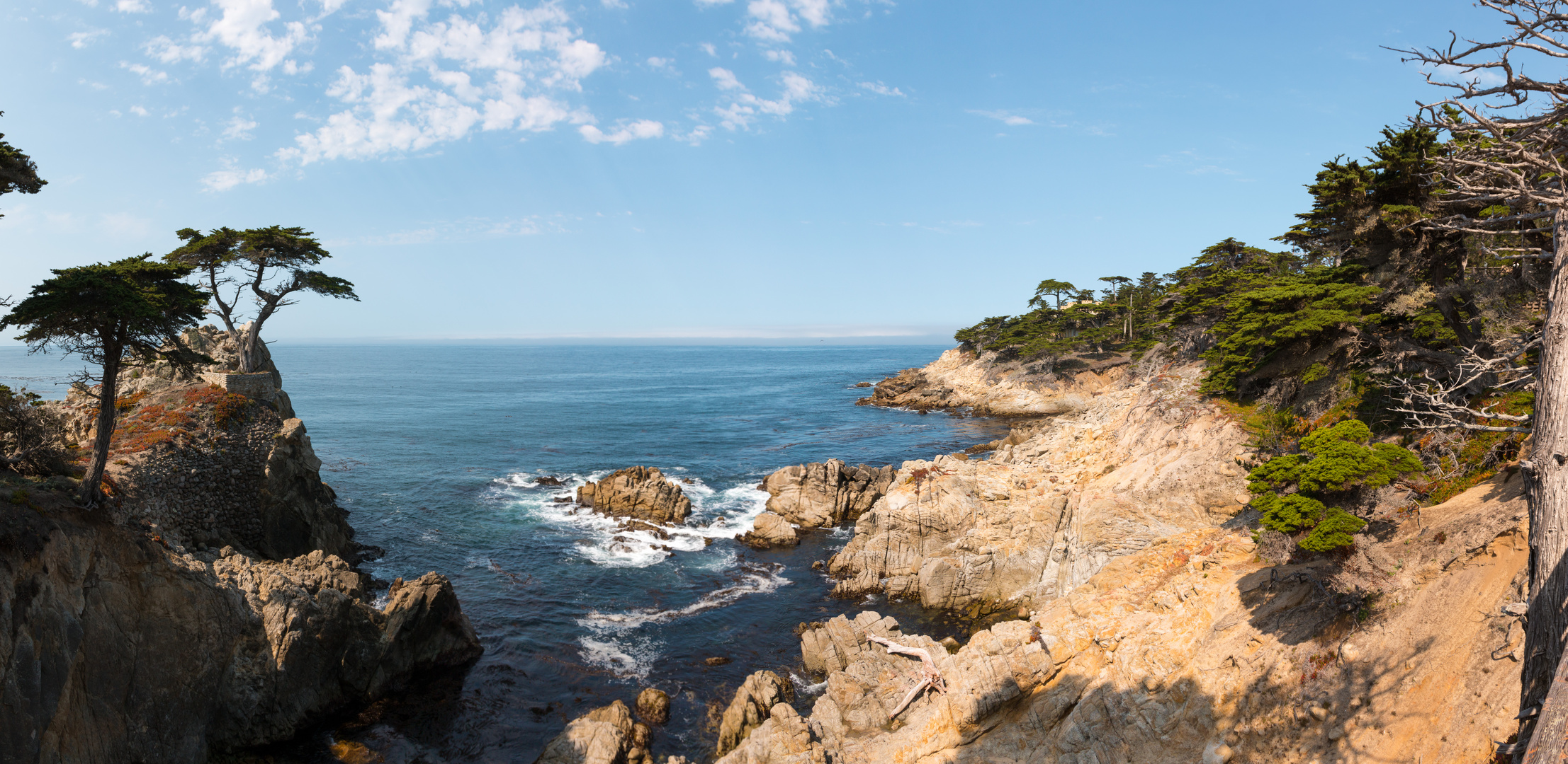 17-Mile-Drive Lone cypress