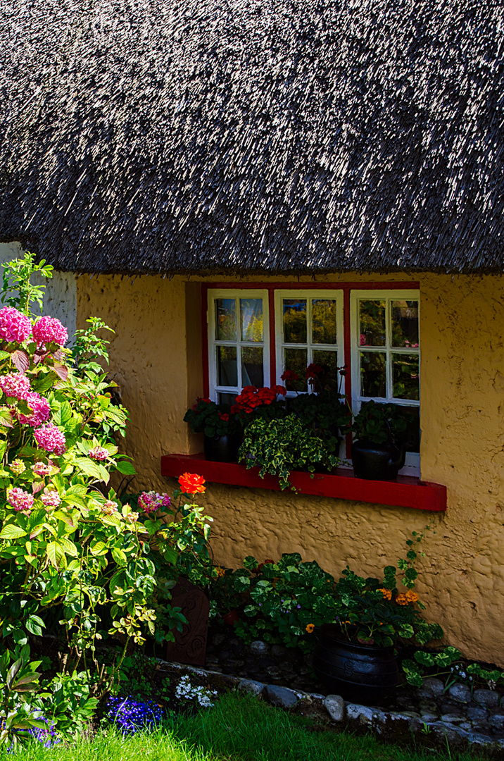 17-Reethaus 1 in Adare_7046-k