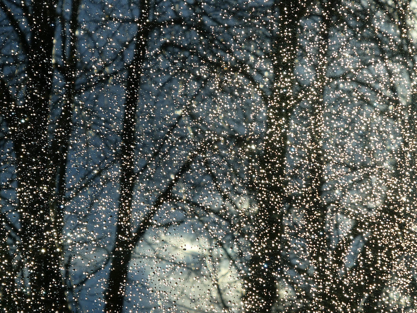 17 Uhr - Blick durchs Fenster