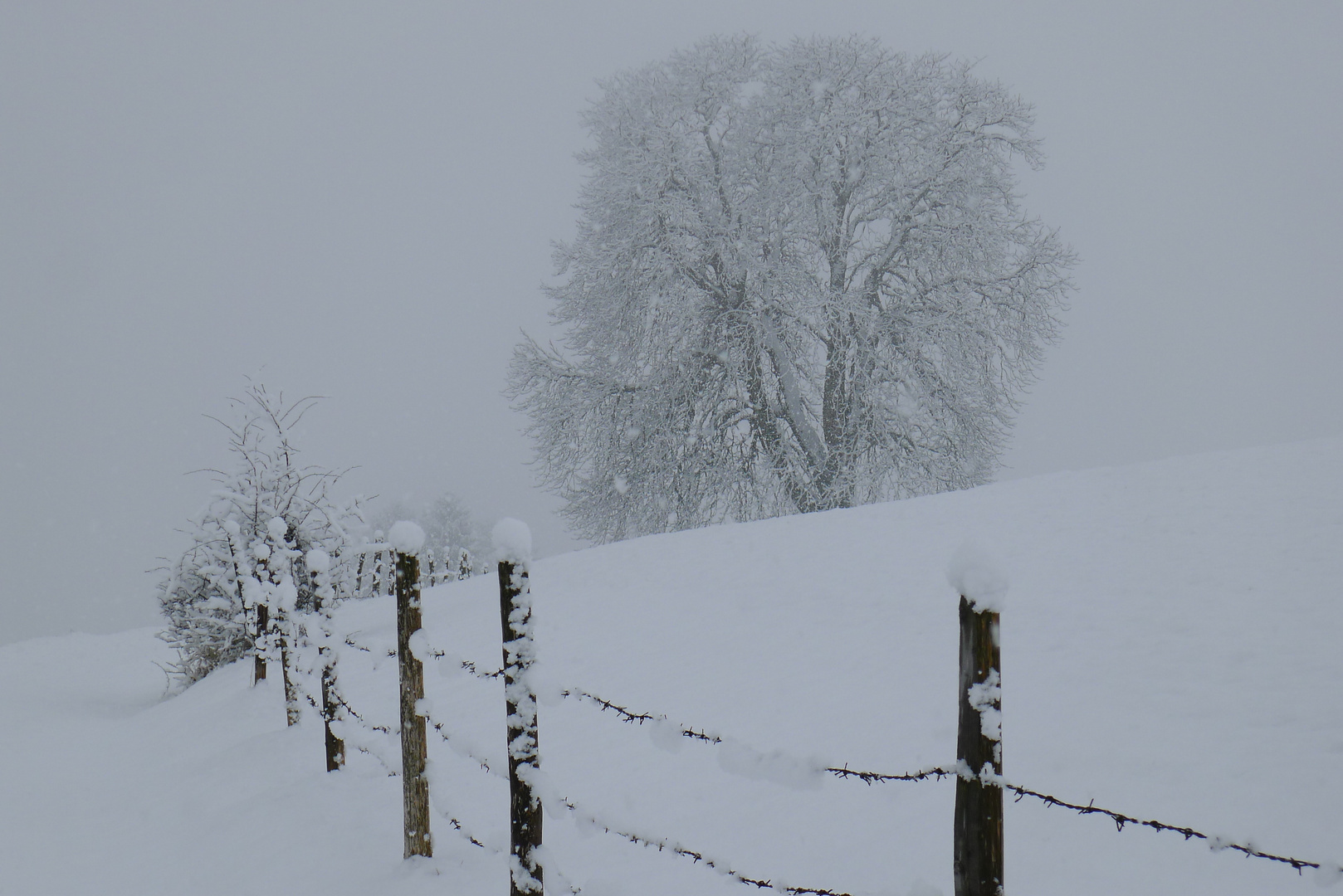 17.01.2015 Winter im Allgäu 01