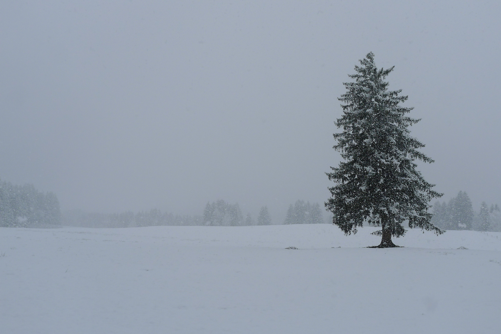 17.01.2015 Winter im Allgäu 03