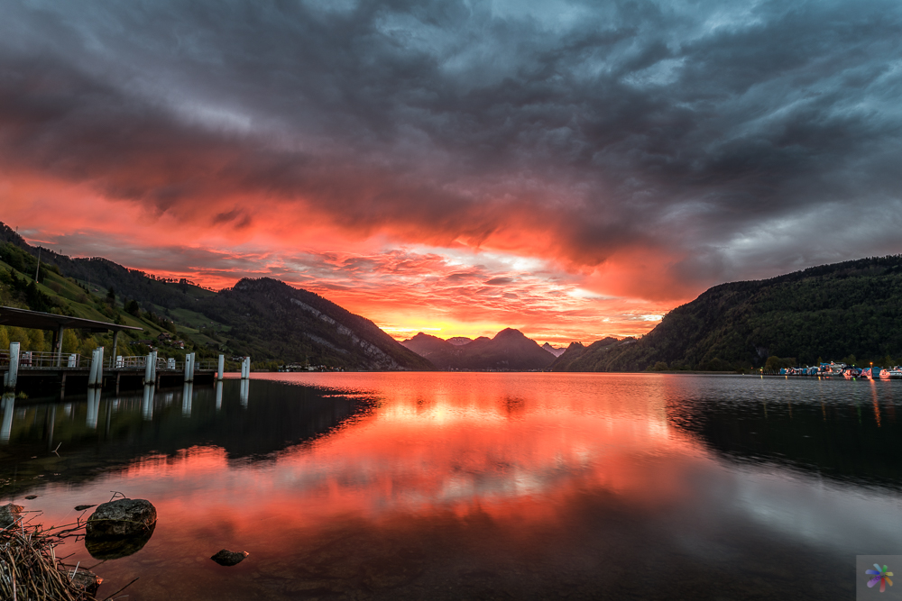 1705-Alpnachersee,Alpnachstadt,Morgenrot,OW-13356