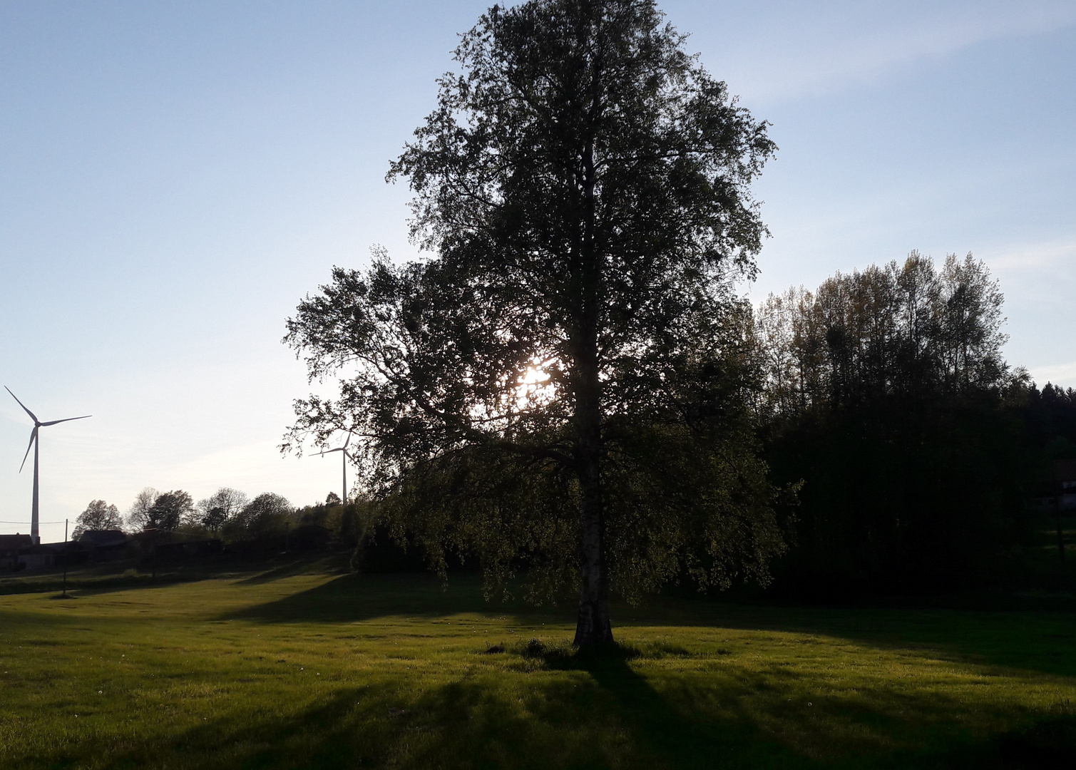 17.05.2020   Lange Schatten am Abend