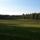 17.05.2020  Lange Schatten auf den Wiesen