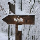 17053 the way to walk