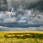 17.07.2021, die letzten Regenwolken lösen sich auf, endlich zeigte sich die Sonne nach einer...