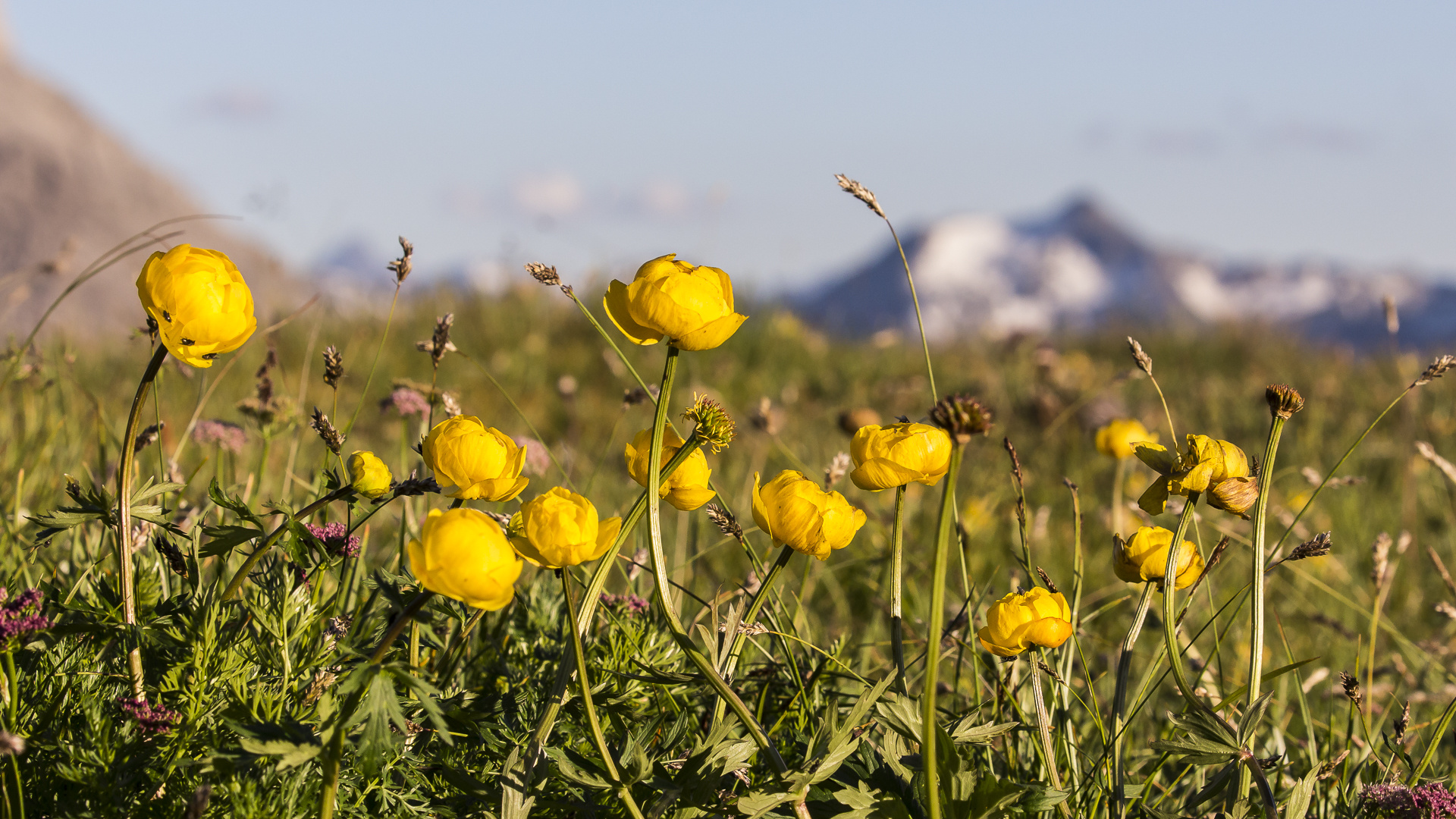 171 - 20160720 - Lechquellrunde 2. Tag - IMG_7465