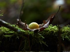 171016-wendelstein152