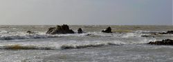 Coup de vent sur Noirmoutier de Bernard Babin