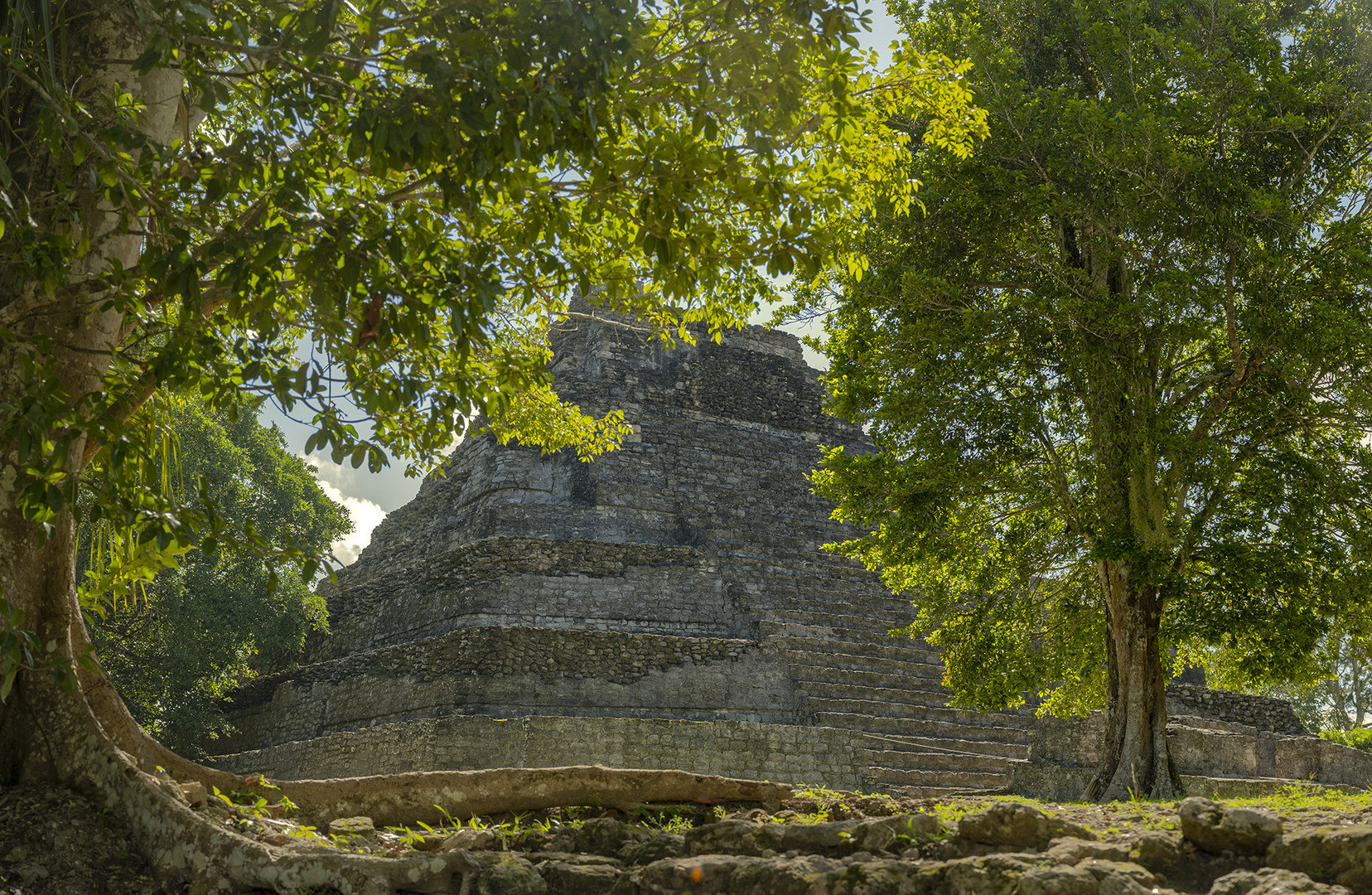 1726UZ  Maya Kultur im Dschungel Pyramide Mahaual Chacchoben Mexico