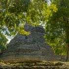 1726UZ  Maya Kultur im Dschungel Pyramide Mahaual Chacchoben Mexico