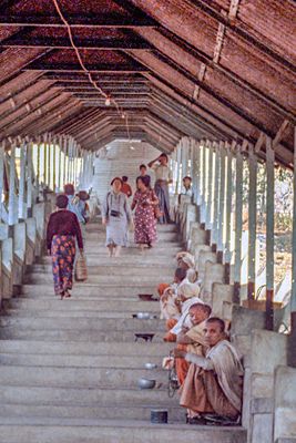 1,730 steps to the hilltop