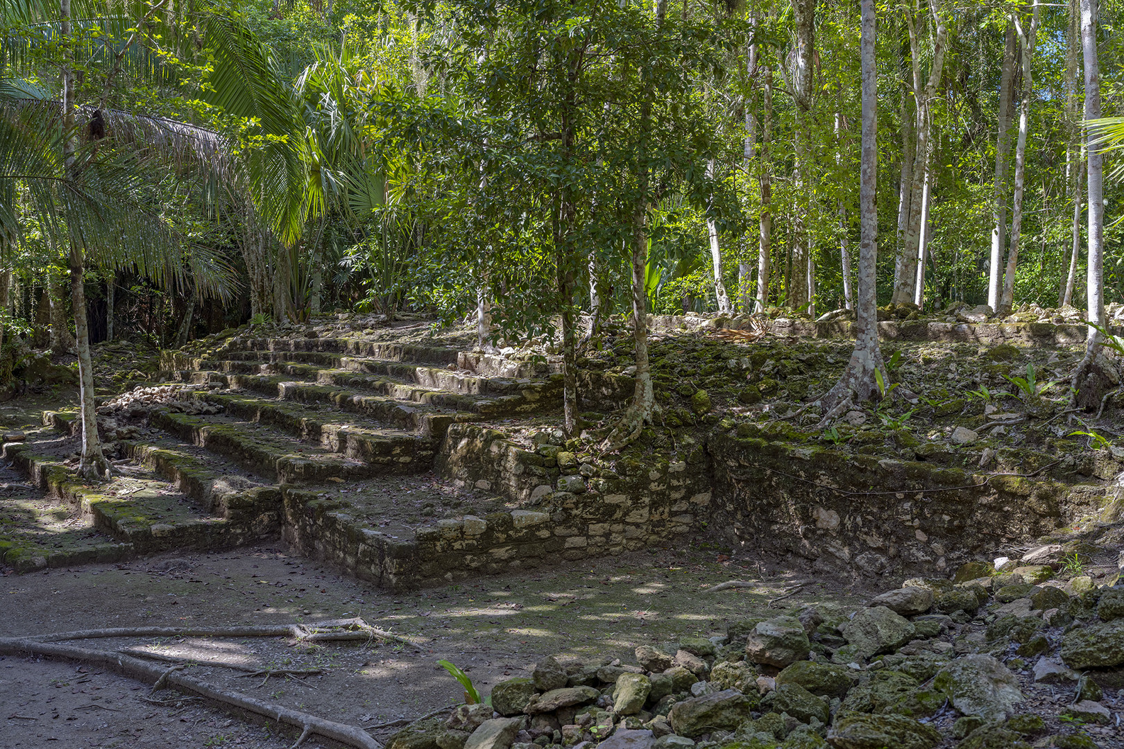 1762UZ   Im Dschungel  Maya Kultur Chacchoben Mexico