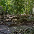1762UZ   Im Dschungel  Maya Kultur Chacchoben Mexico