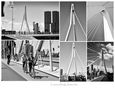 Erasmus Bridge, Rotterdam by Phil Jenkins 