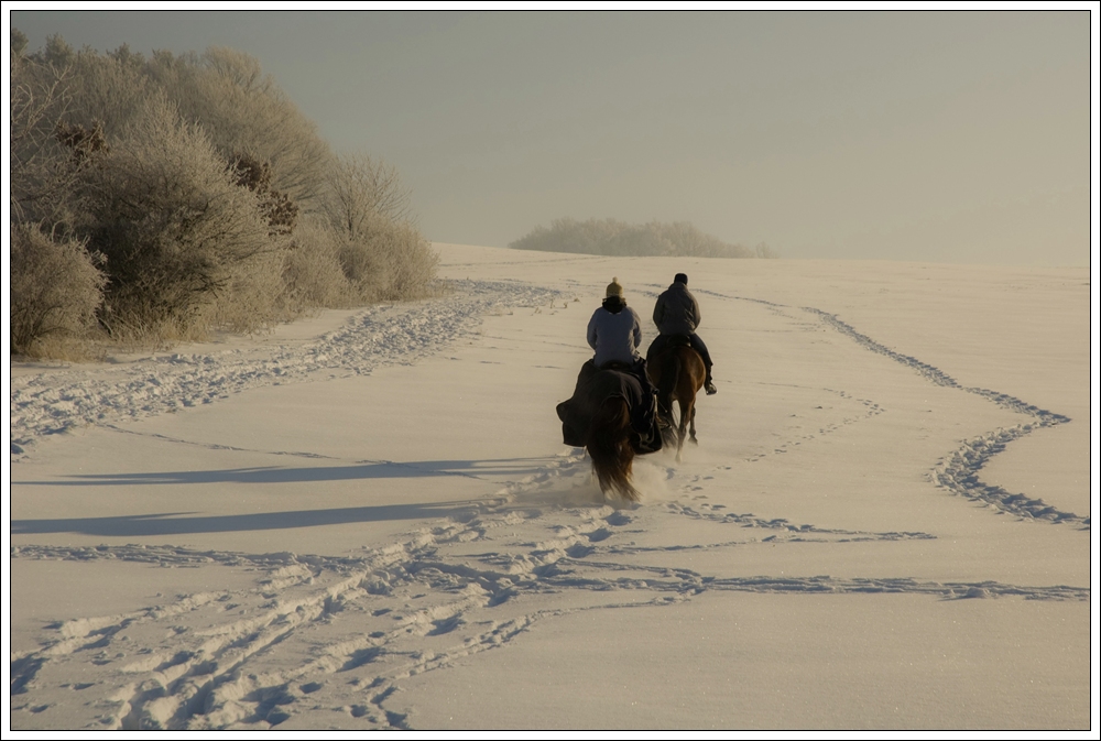 - 17°C Jan 2009 III