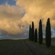 Wolken und Zypressen im Val d`Orcia