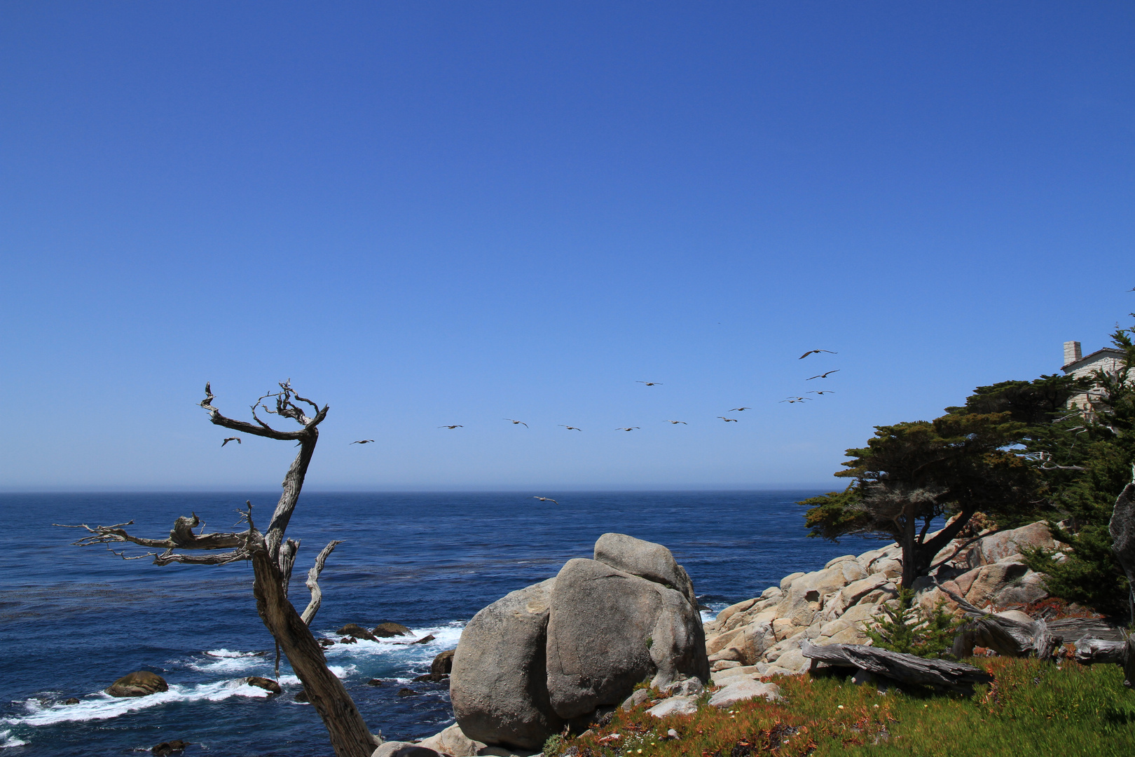 17Mile Drive