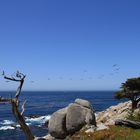 17Mile Drive