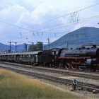 18 316 am 18 Aug.1996 in Neustadt/Wstr