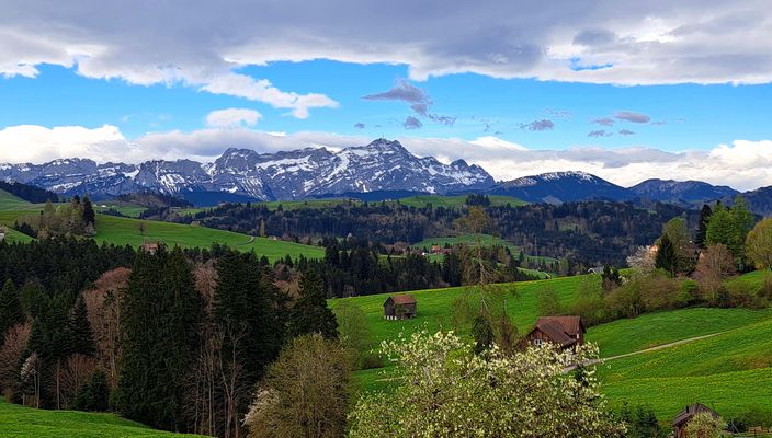 18 / 52 _ Es wird Frühling