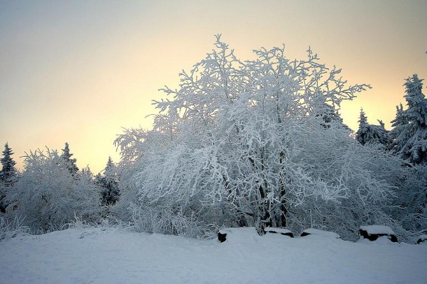 - 18°