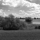 180° - Blick zur Elbe