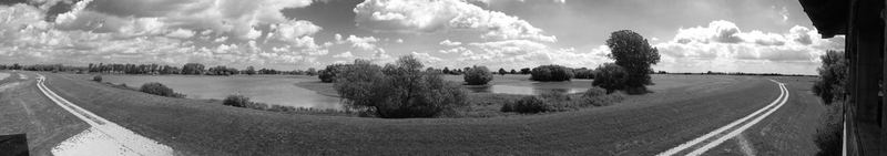 180° - Blick zur Elbe