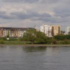 180° Rheinpanorama