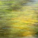 18.03.24 ## Frühblüher - Forsythien -  ICM-Fotografie ##