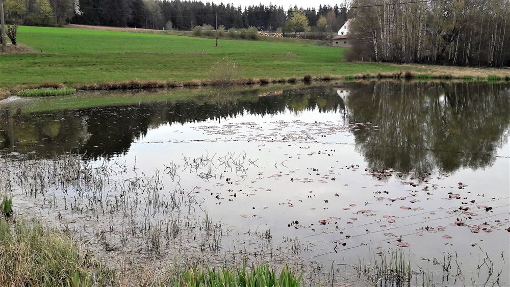 18.04.2020 Haus und Holz unter Wasser