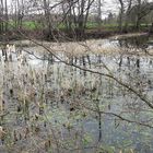 18.04.2020 Spiegeltag : Spiegelunterbrechungen auf dem Lernschwimmteich