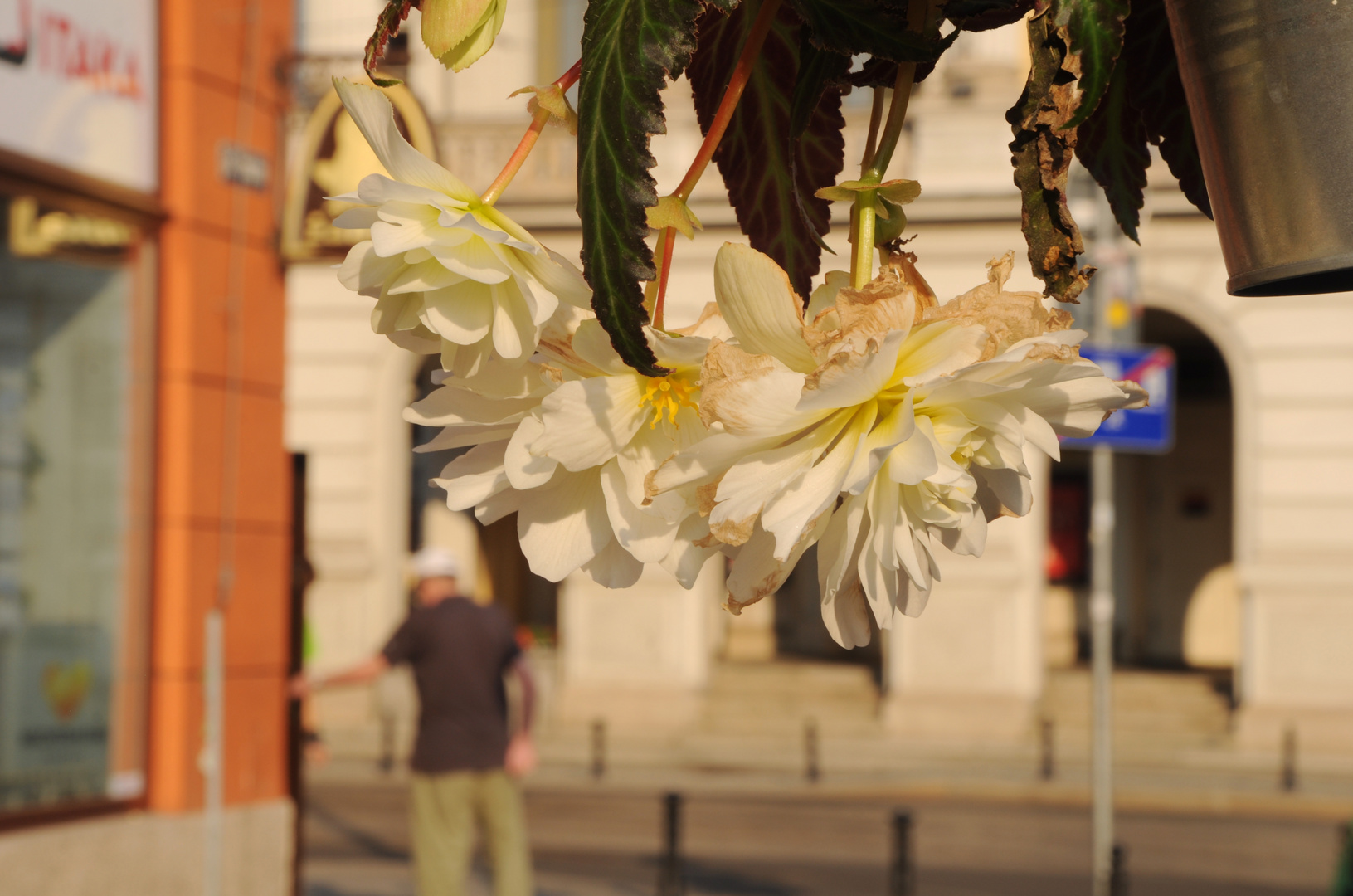 180618 - Warme Farben, warmer Morgen