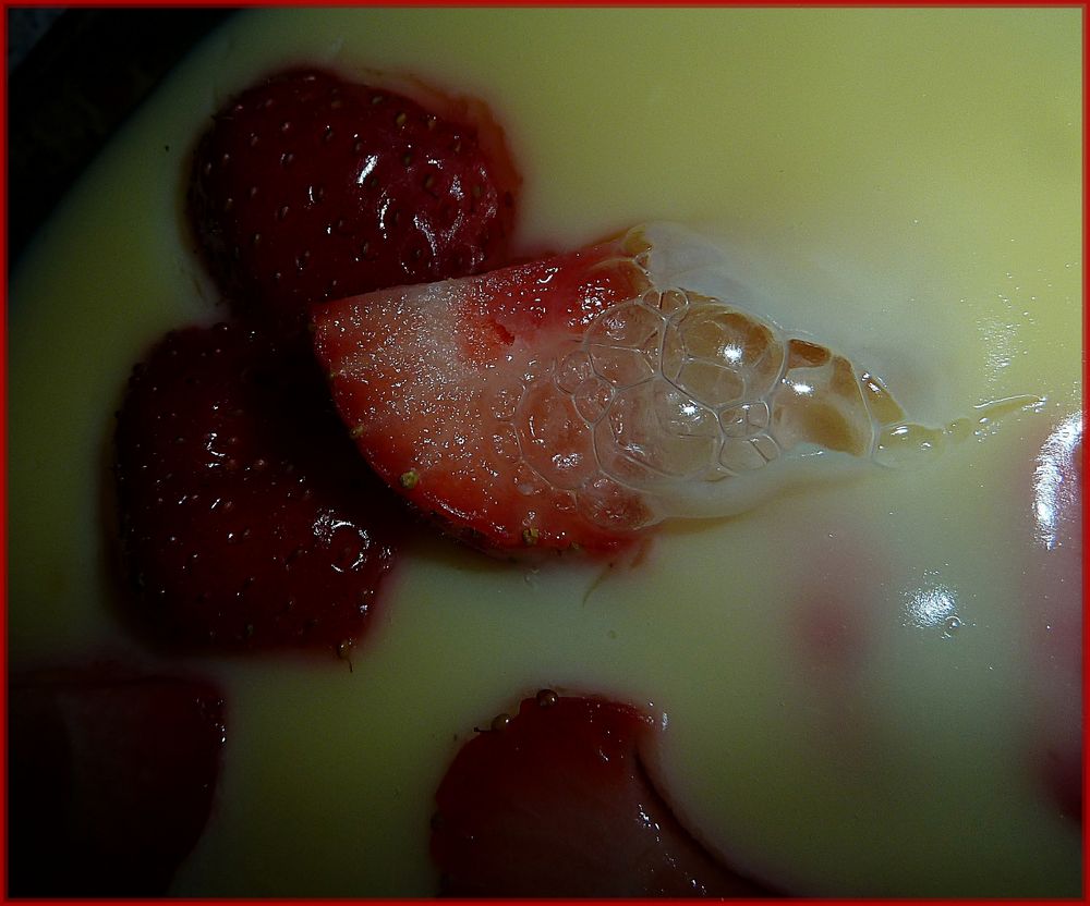 Erdbeeren auf Vanillepudding von beasternchen 