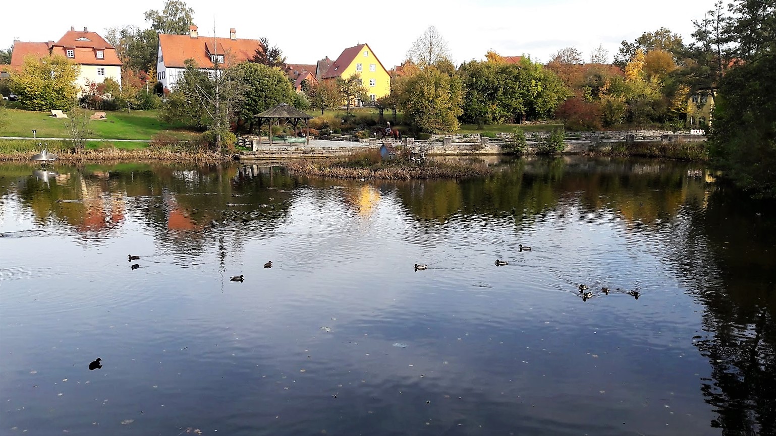  18.10.2019   Rothenburger  Weiher Dinkelsbühl