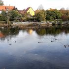  18.10.2019   Rothenburger  Weiher Dinkelsbühl