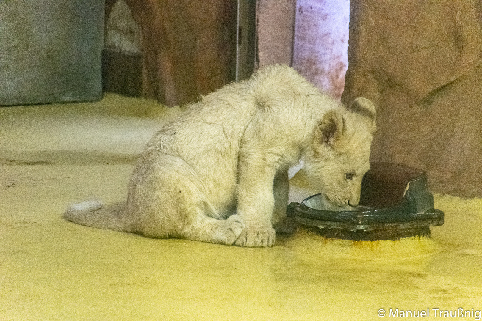 181108_Zoo_Magdeburg_0087