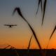 Landeanflug in der Abendsonne