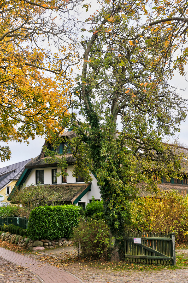 1811rügen-3220_tonemapped