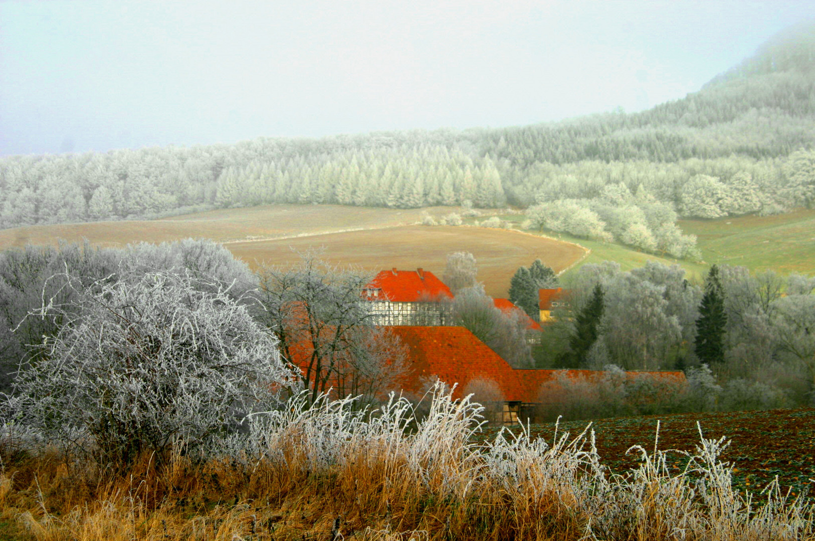 181_8104 Foto & Bild monatswettbewerbe, foto des jahres 22 sehnsucht