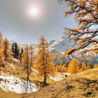 18233 Herbst am Ofenpaß, Nähe Alp da Munt