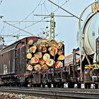 185 028-8 - Güterzug
