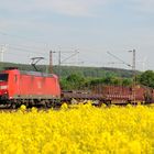 185 066-8 von DB-Schenker