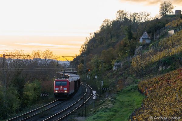 185 308-4 mit Tonzug nach Italien