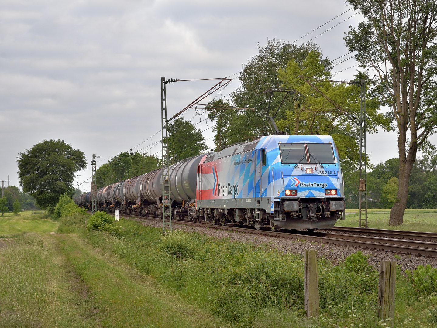 185 350-6 -- Rheincargo-Grenzenlos-- am 20.05.20 in Hamm Neustadt