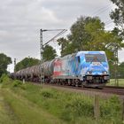 185 350-6 -- Rheincargo-Grenzenlos-- am 20.05.20 in Hamm Neustadt