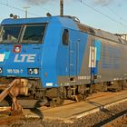 185 528-7 von LTE "Hermine" #2